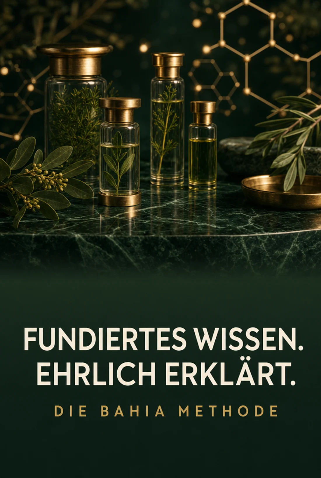 Fundiertes Wissen. Ehrlich erklärt. Die BAHIA Methode